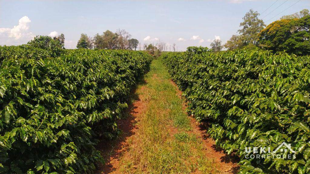 Fazenda à venda, 2420000M2 - Foto 11