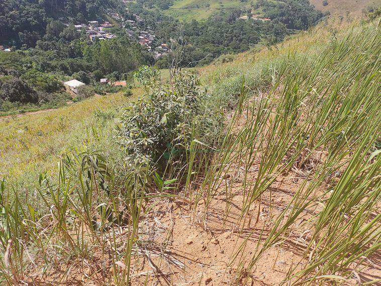 Terreno à venda, 1228M2 - Foto 2