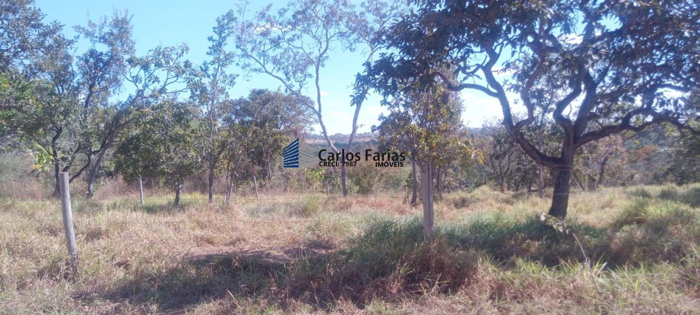 Chácara à venda, 20000m² - Foto 5