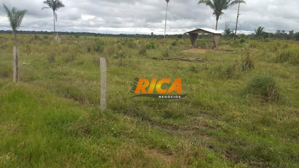 Fazenda à venda com 2 quartos, 14060000M2 - Foto 42