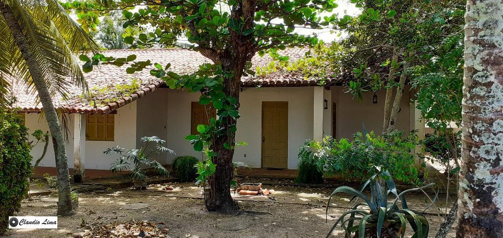 Fazenda à venda com 4 quartos, 180m² - Foto 4