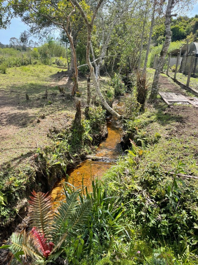 Chácara, 10000 m² - Foto 21