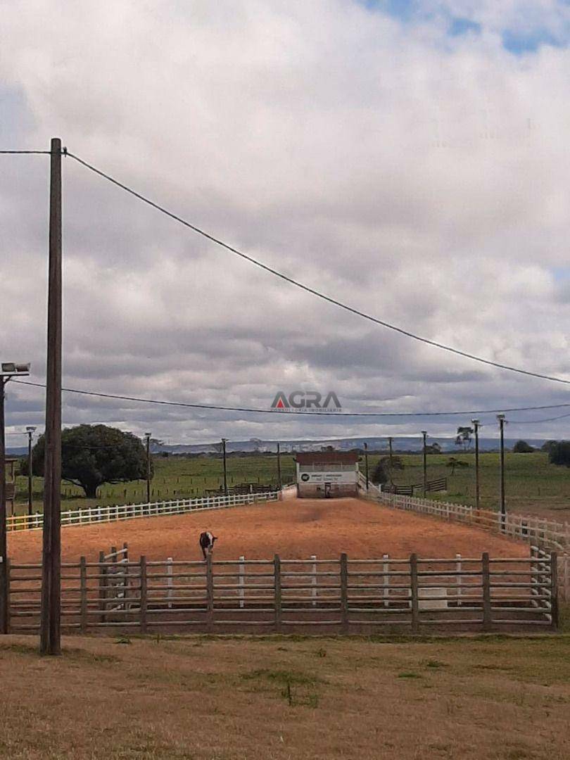 Haras e Área Rural Padrão à venda, 1000M2 - Foto 3