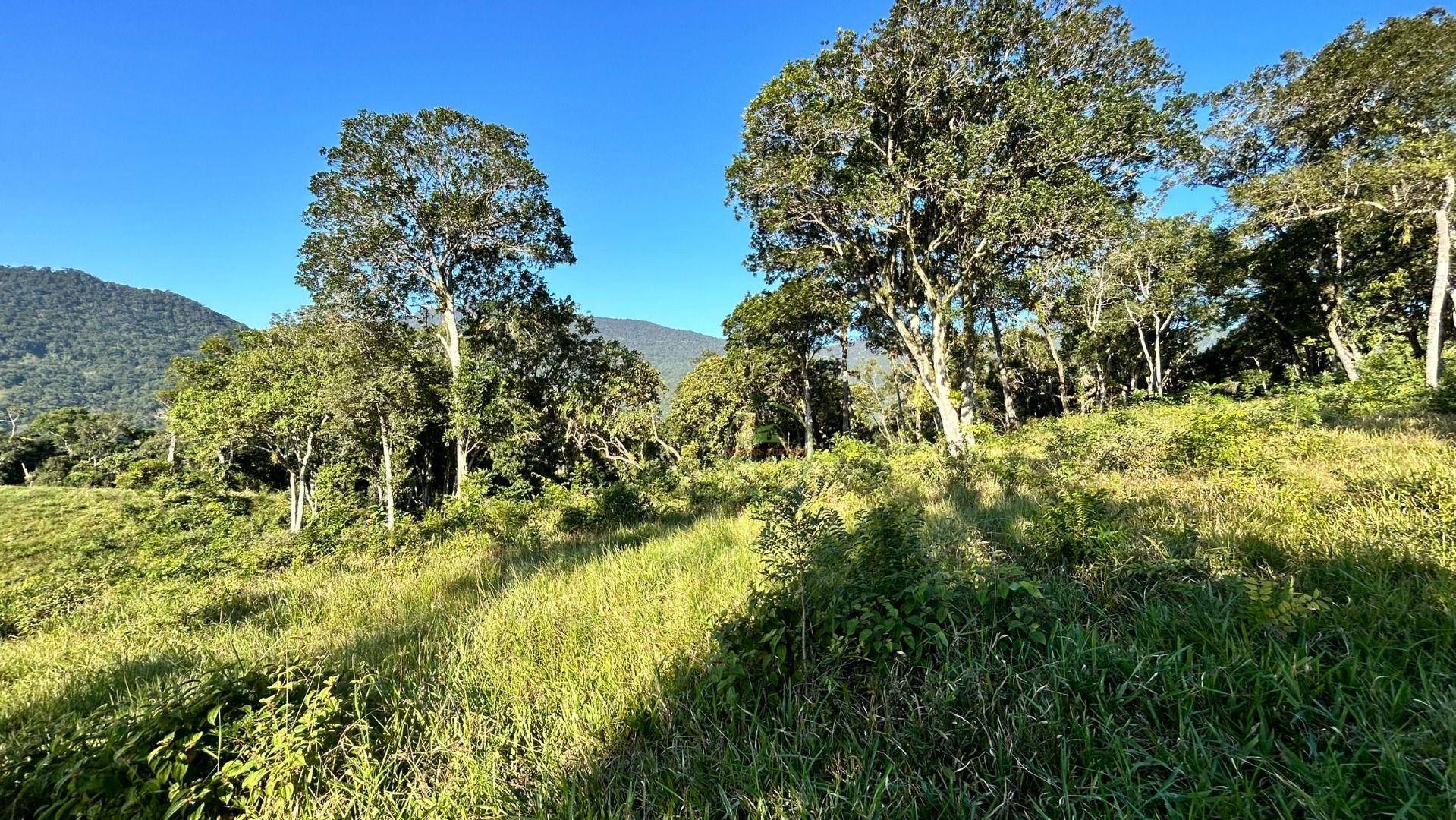 Terreno, 27 hectares - Foto 9