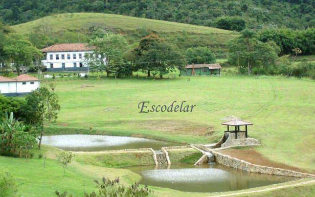 Fazenda à venda com 5 quartos, 1331000M2 - Foto 19