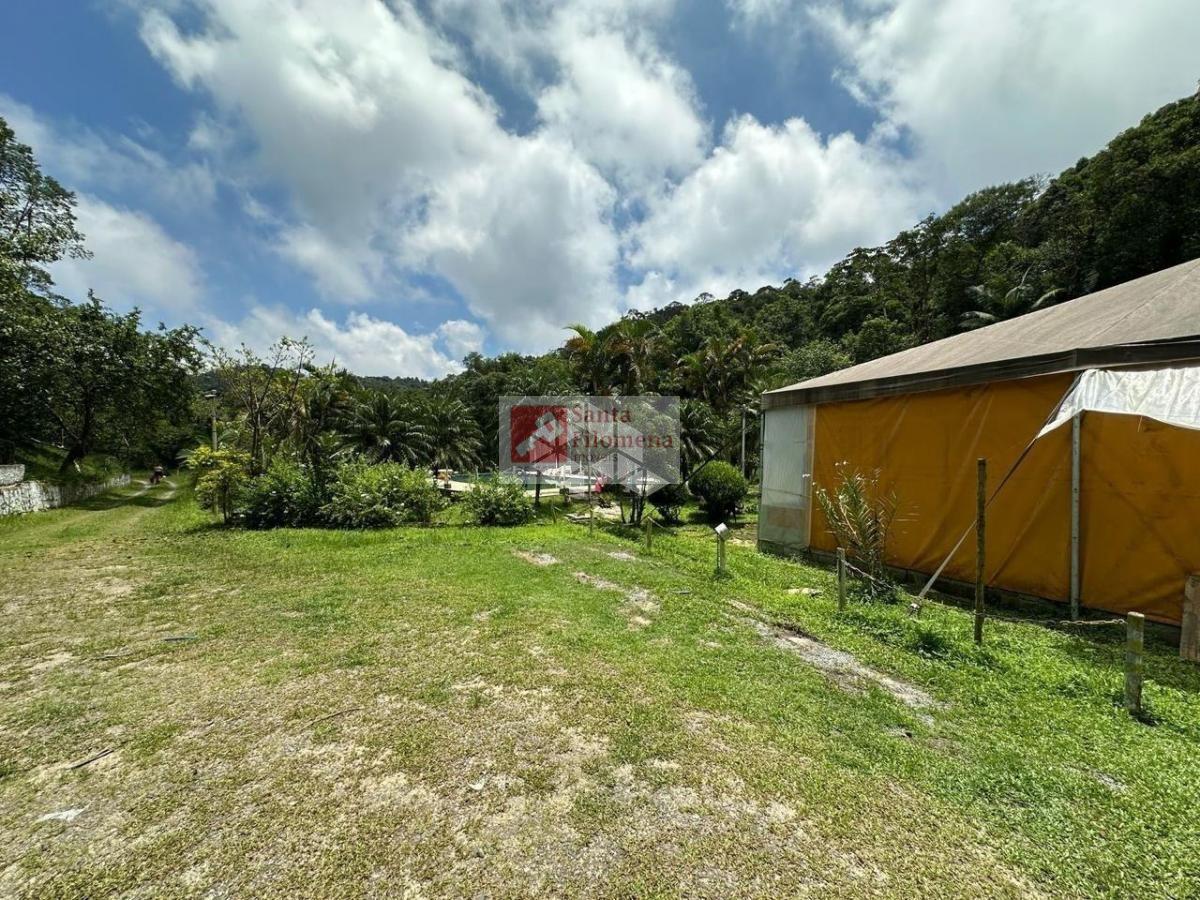 Chácara à venda com 4 quartos, 24000m² - Foto 16