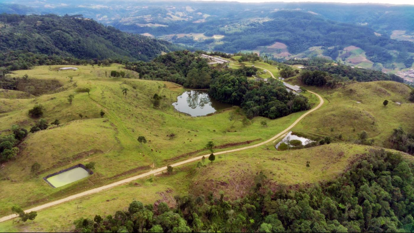 Fazenda à venda com 2 quartos, 862000m² - Foto 13