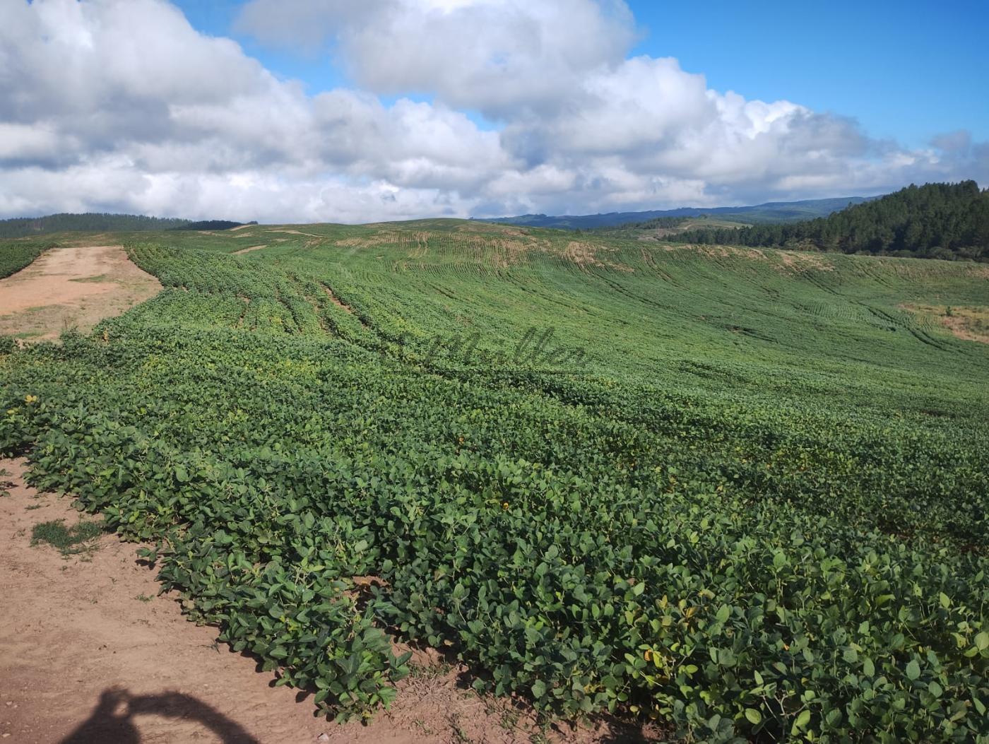 Fazenda à venda, 677m² - Foto 12