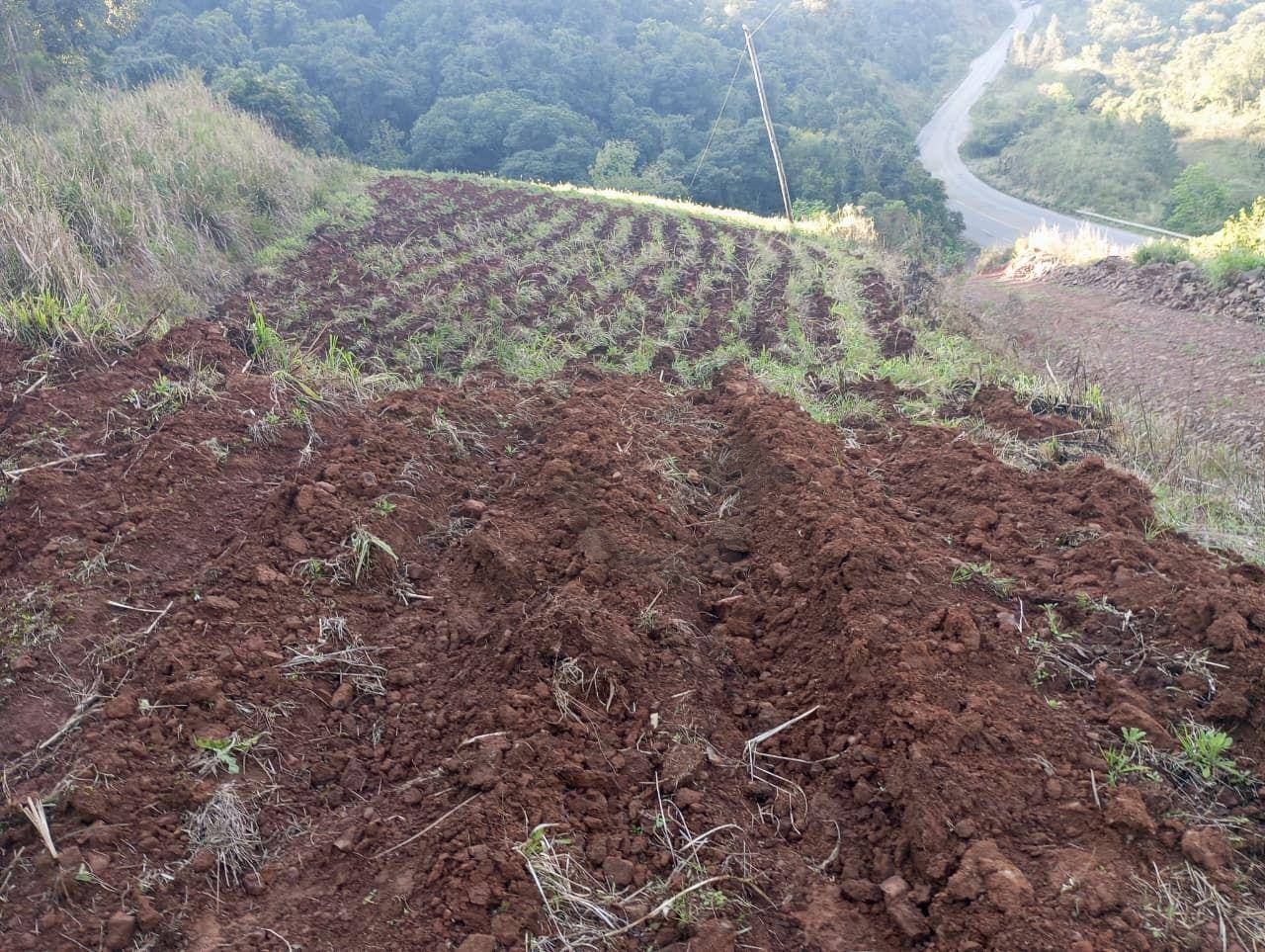 Chácara, 4 hectares - Foto 8