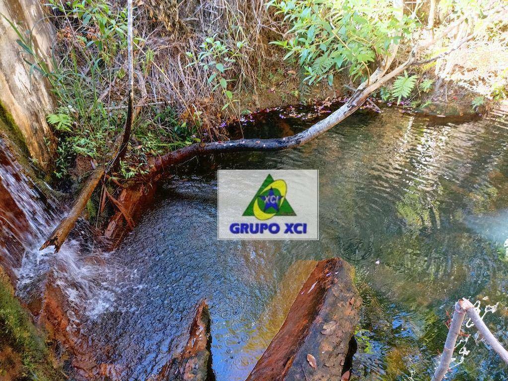 Fazenda, 1100 hectares - Foto 11