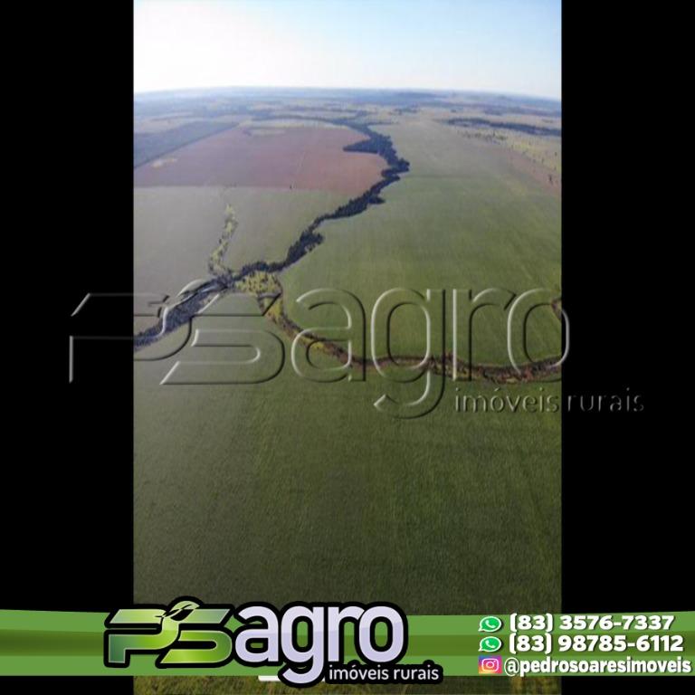 Fazenda-Sítio-Chácara, 13000 hectares - Foto 3