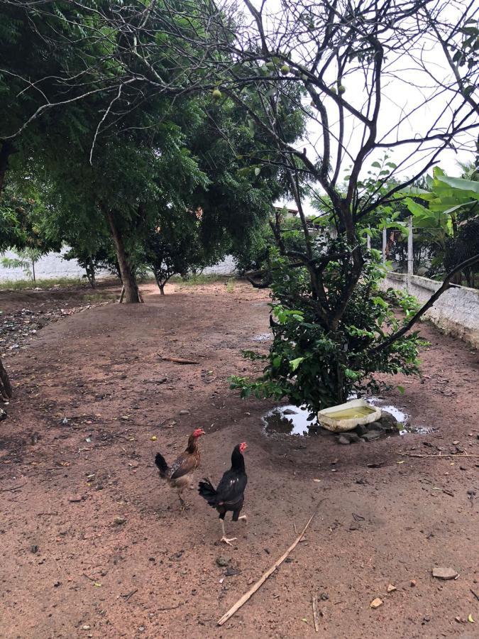 Fazenda à venda com 3 quartos - Foto 9