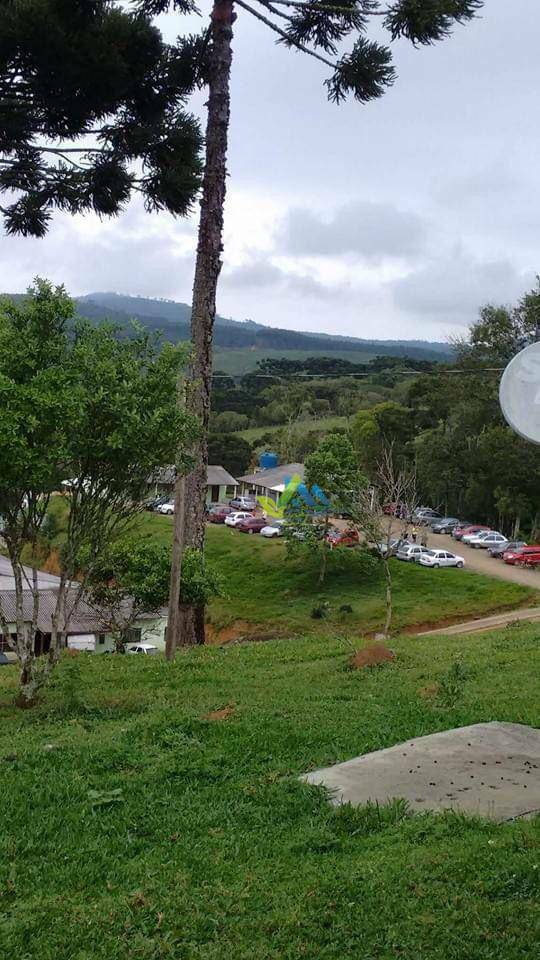 Chácara à venda com 30 quartos, 85000M2 - Foto 10