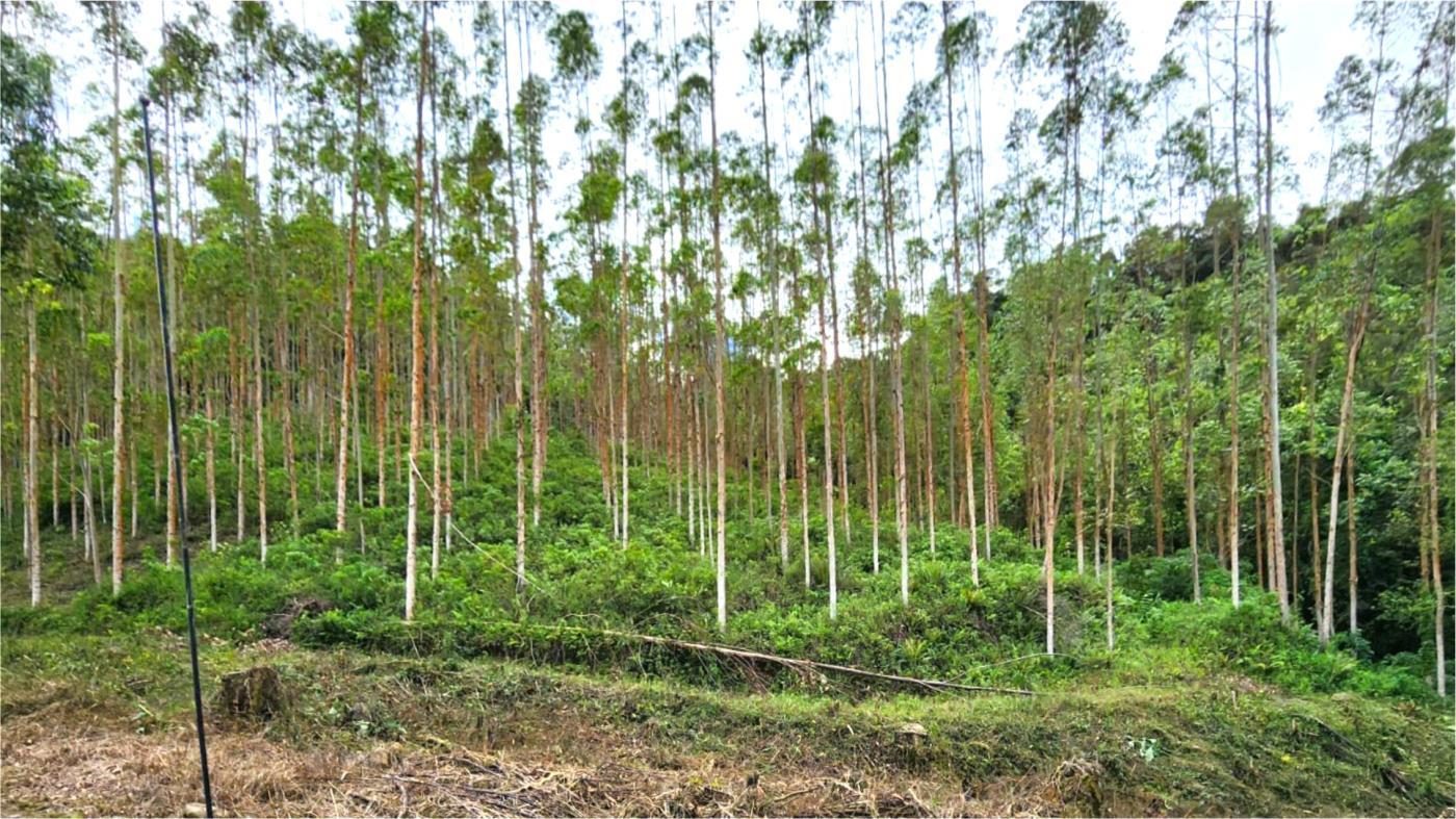 Fazenda à venda, 1564600m² - Foto 7