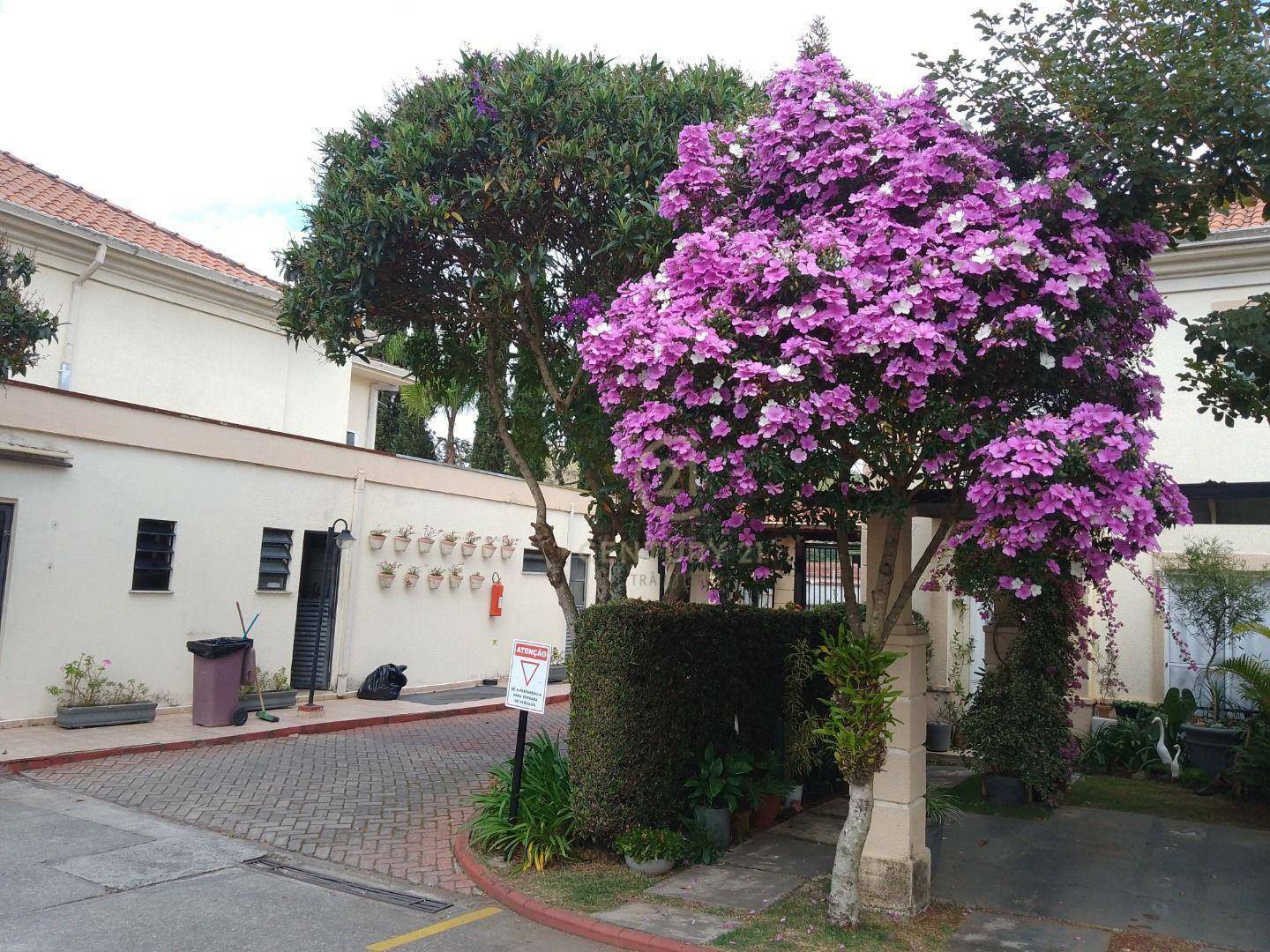 Casa de Condomínio à venda e aluguel com 3 quartos, 84m² - Foto 24