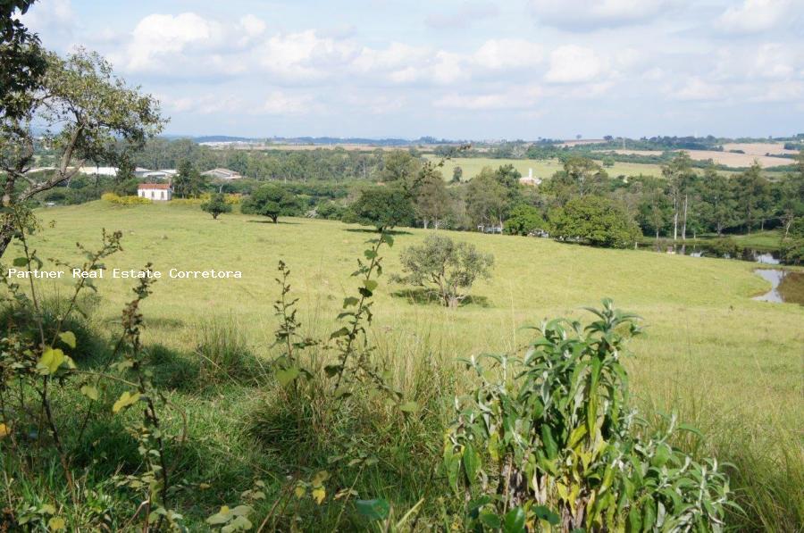 Fazenda à venda com 1 quarto, 3105360m² - Foto 4