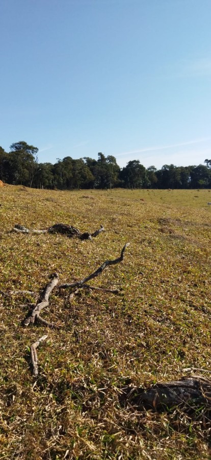 Fazenda-Sítio-Chácara, 75 m² - Foto 2