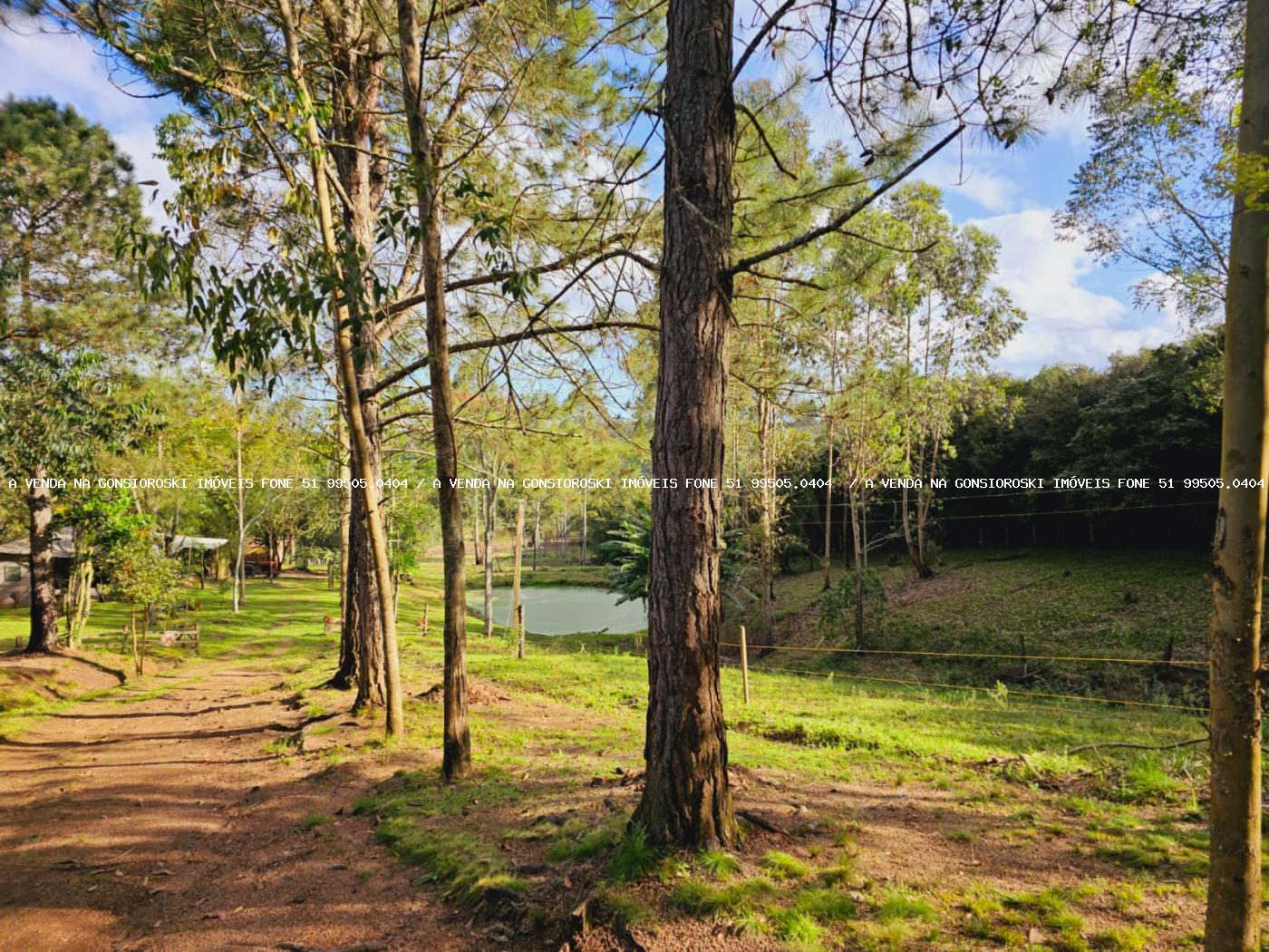 Sítio à venda, 30000m² - Foto 17