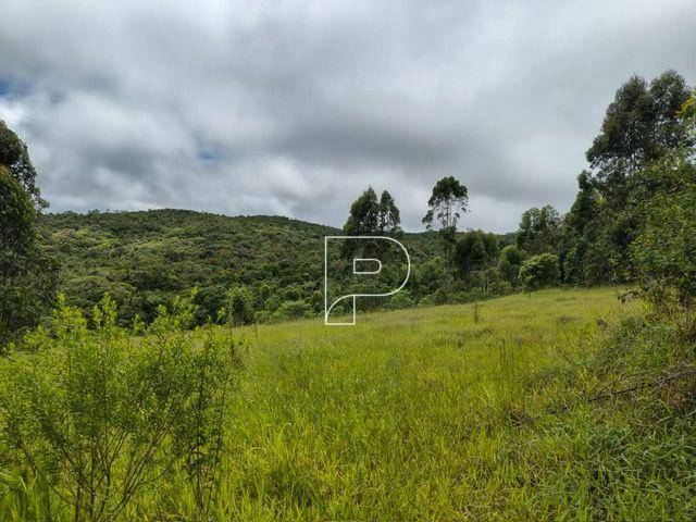 Terreno, 27 hectares - Foto 5