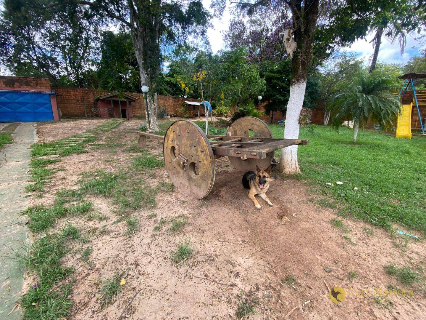 Chácara, 4 quartos, 1757 m² - Foto 5