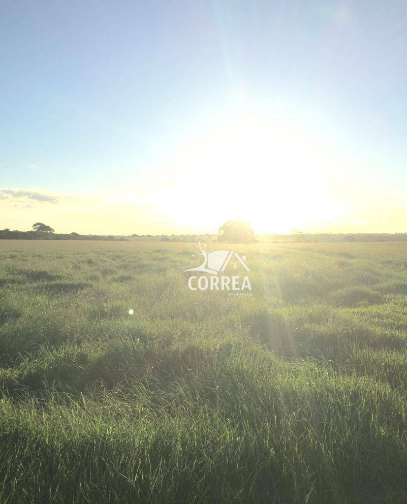 Fazenda-Sítio-Chácara, 829 hectares - Foto 4