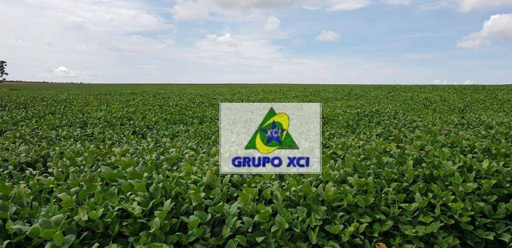 Fazenda, 13072 hectares - Foto 4