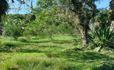 Fazenda à venda com 2 quartos, 16000m² - Foto 11