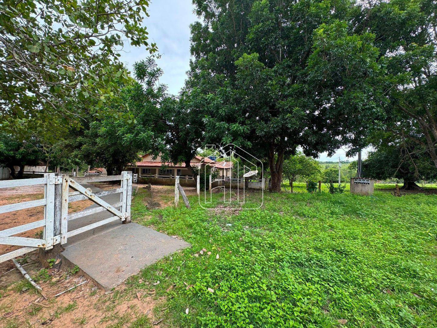 Fazenda à venda com 3 quartos, 26600000M2 - Foto 9