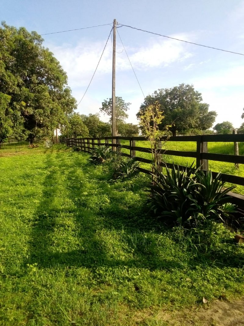 Fazenda-Sítio-Chácara, 685 hectares - Foto 4