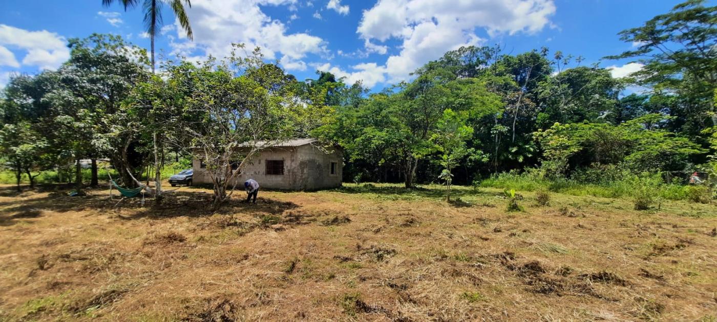 Fazenda à venda com 2 quartos, 3500m² - Foto 6