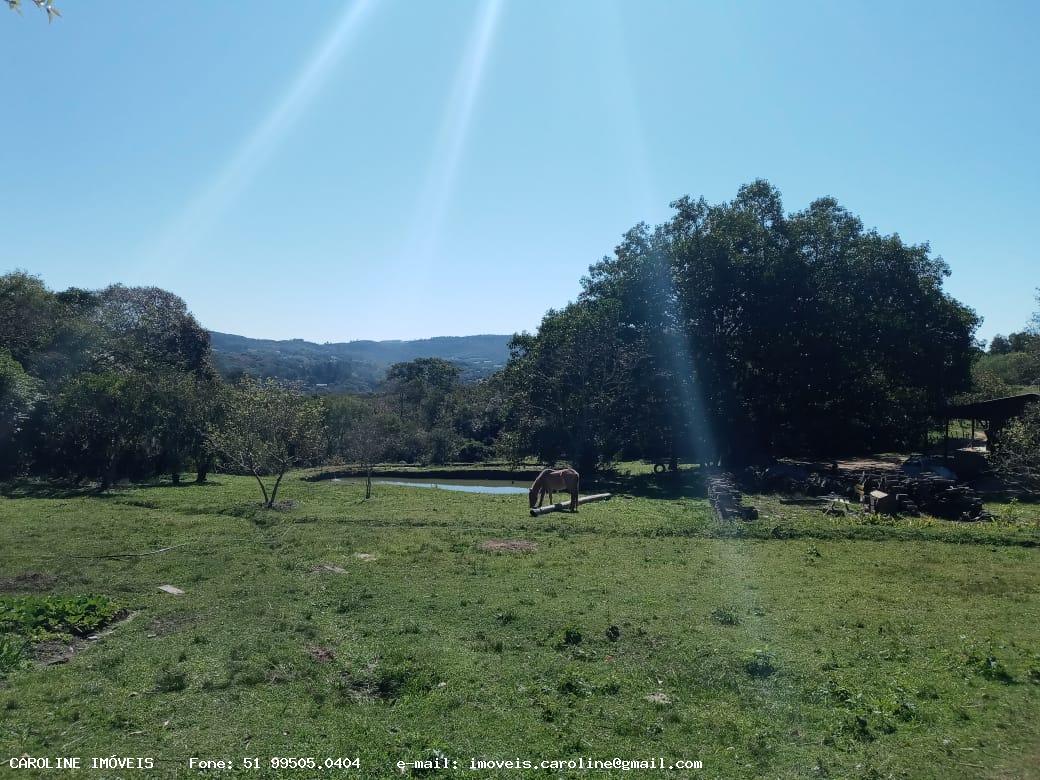 Fazenda à venda com 2 quartos, 180000m² - Foto 14