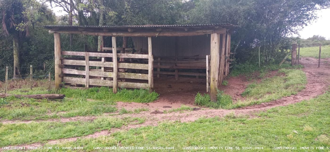 Fazenda à venda com 1 quarto, 18000m² - Foto 25