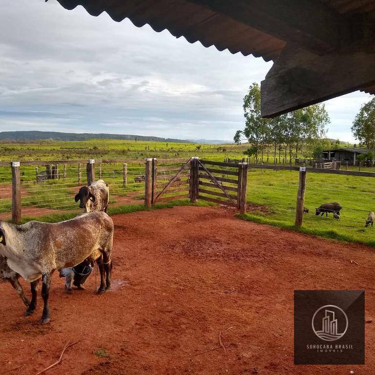 Fazenda à venda, 43560000M2 - Foto 3