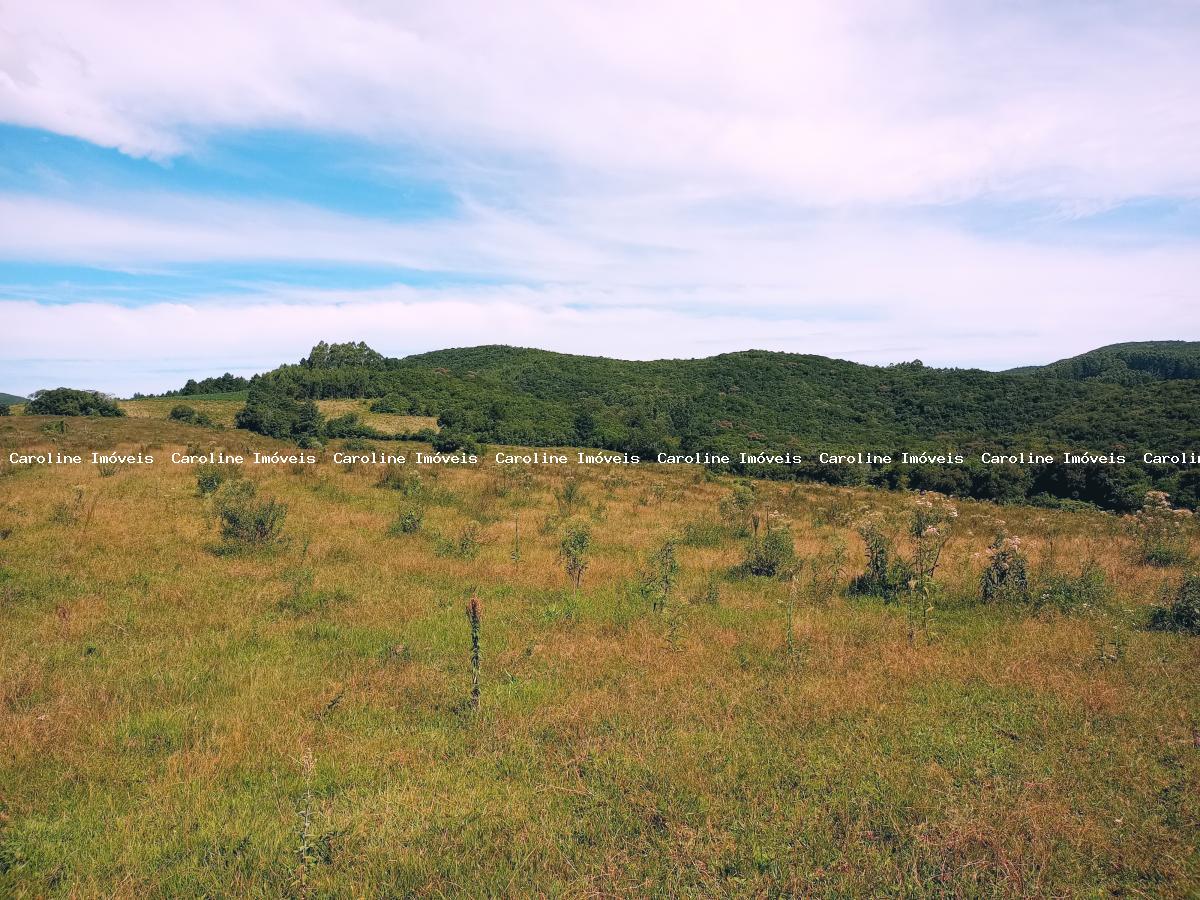 Fazenda à venda com 5 quartos, 625000m² - Foto 39