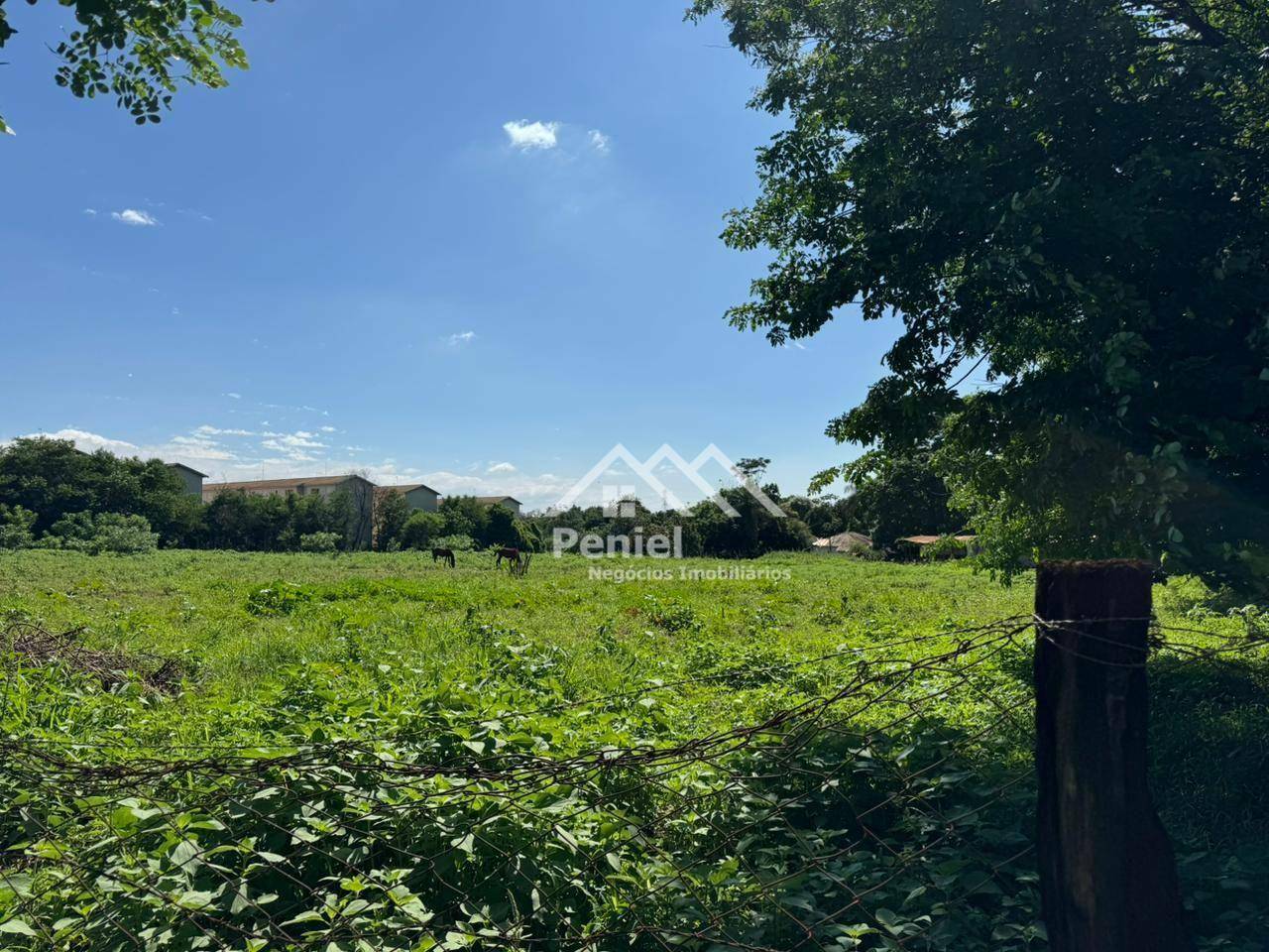 Terreno, 2 hectares - Foto 1