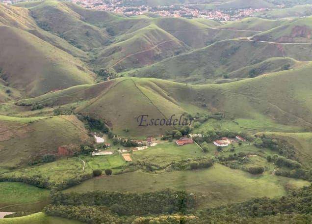 Fazenda à venda com 5 quartos, 1331000M2 - Foto 24