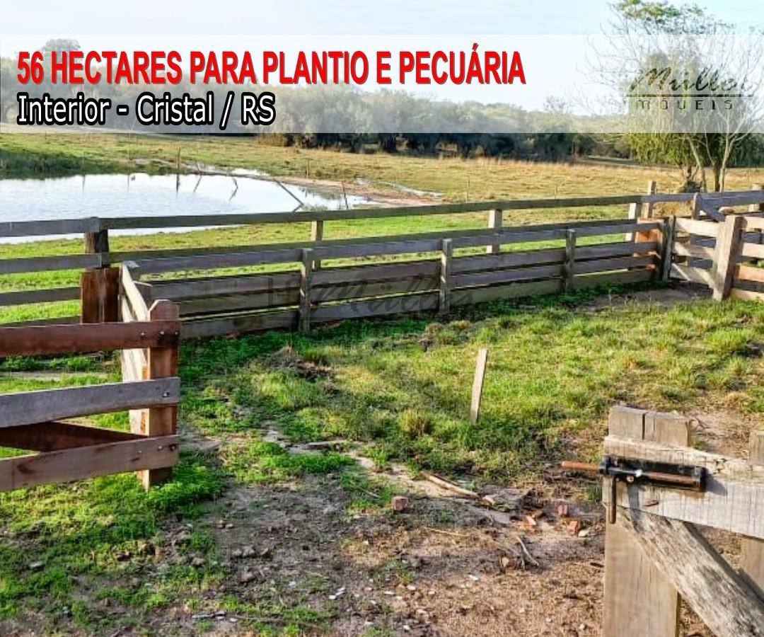 Fazenda à venda, 56m² - Foto 1