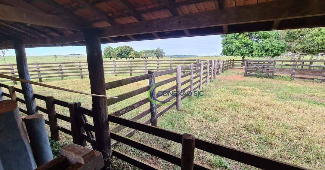 Fazenda à venda com 3 quartos, 575M2 - Foto 2