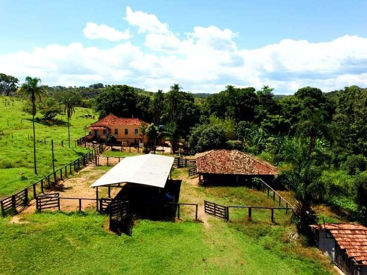 Fazenda-Sítio-Chácara, 324 hectares - Foto 1