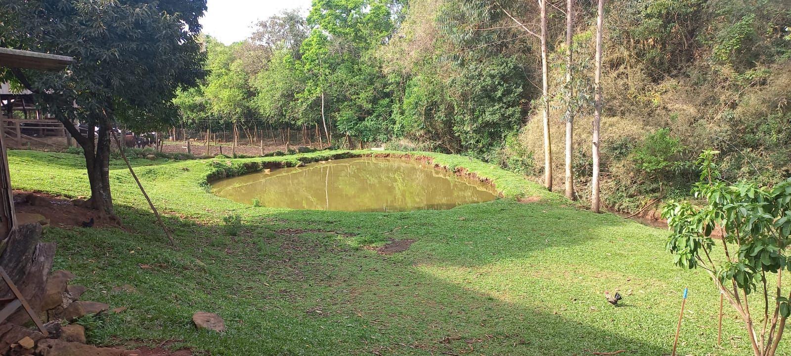 Fazenda à venda com 4 quartos, 12000m² - Foto 11