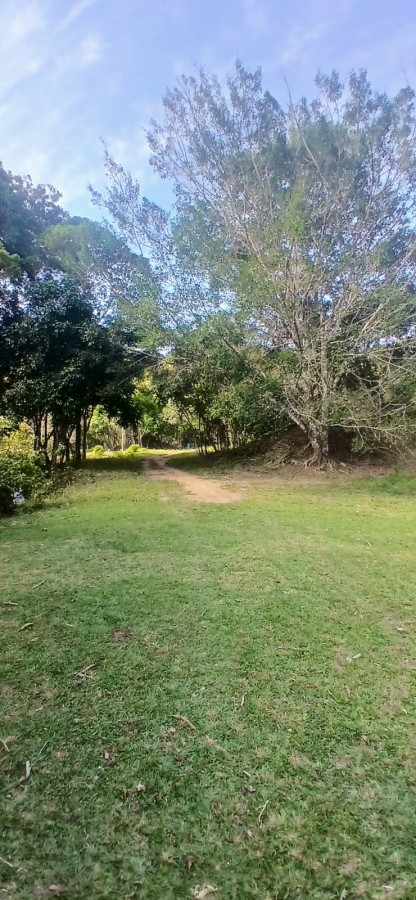 Sítio à venda com 5 quartos, 285m² - Foto 36