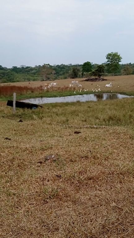 Fazenda à venda, 41140000M2 - Foto 27