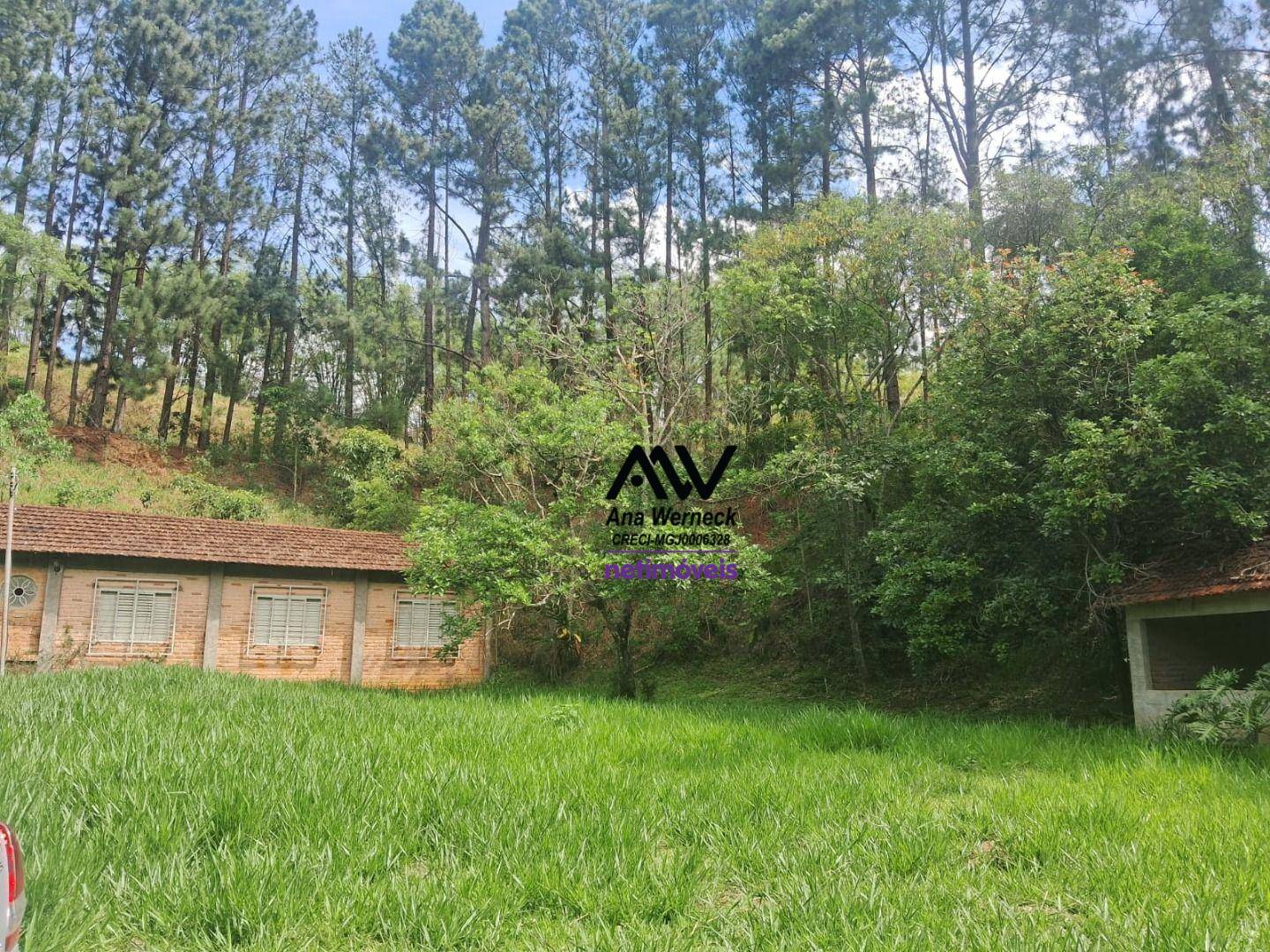 Sítio, 35 hectares - Foto 2