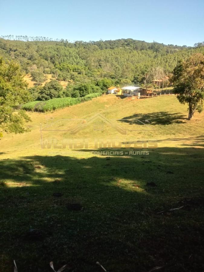 Fazenda à venda com 3 quartos, 25m² - Foto 1