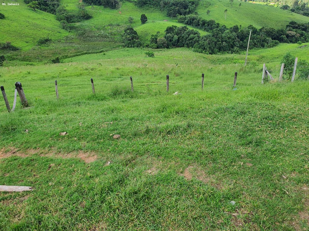 Fazenda à venda com 2 quartos, 220m² - Foto 12