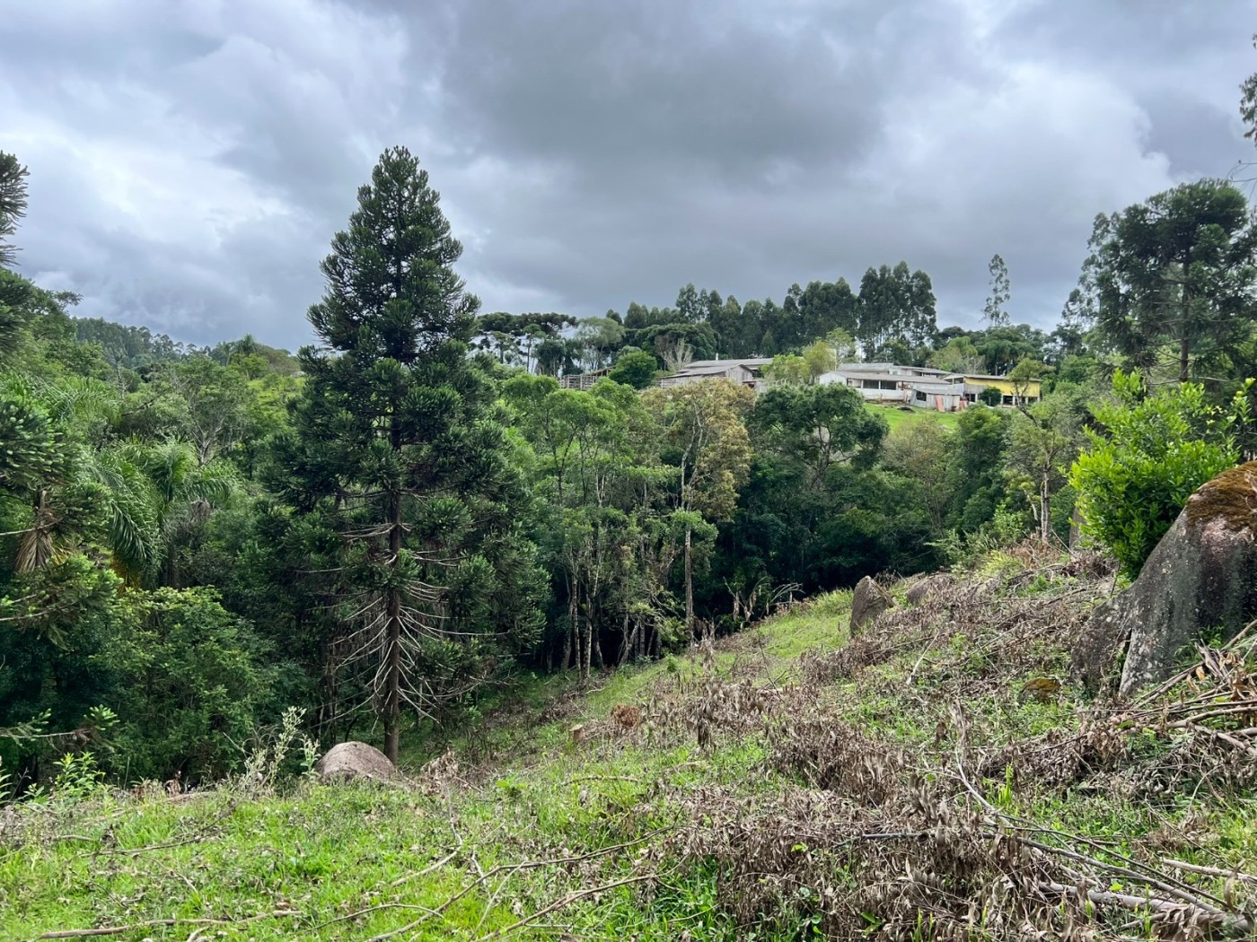 Chácara à venda, 18100m² - Foto 3