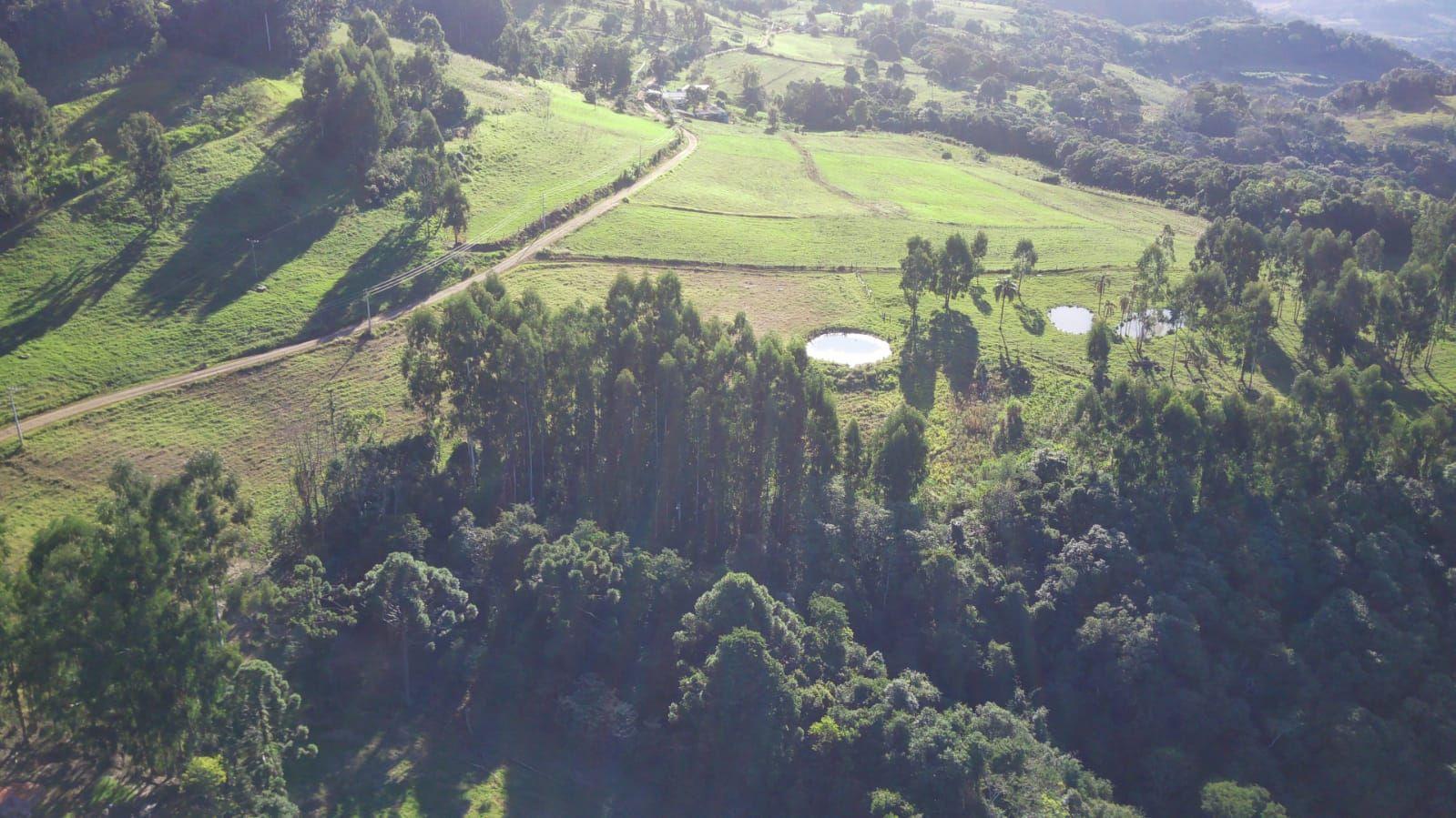 Fazenda à venda, 440000m² - Foto 25