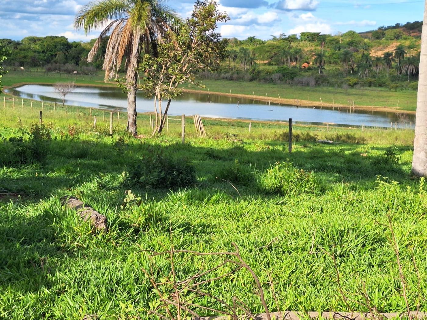 Fazenda à venda, 26000m² - Foto 5