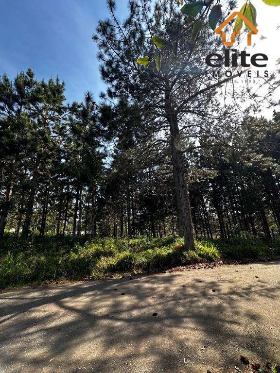 Terreno, 3001 m² - Foto 4