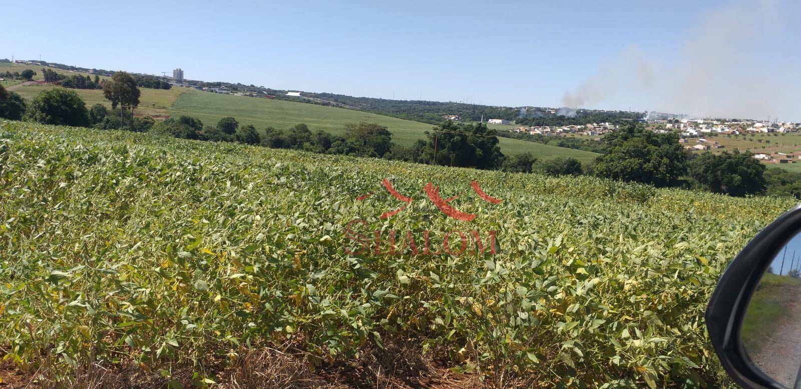 Fazenda à venda, 58080M2 - Foto 2